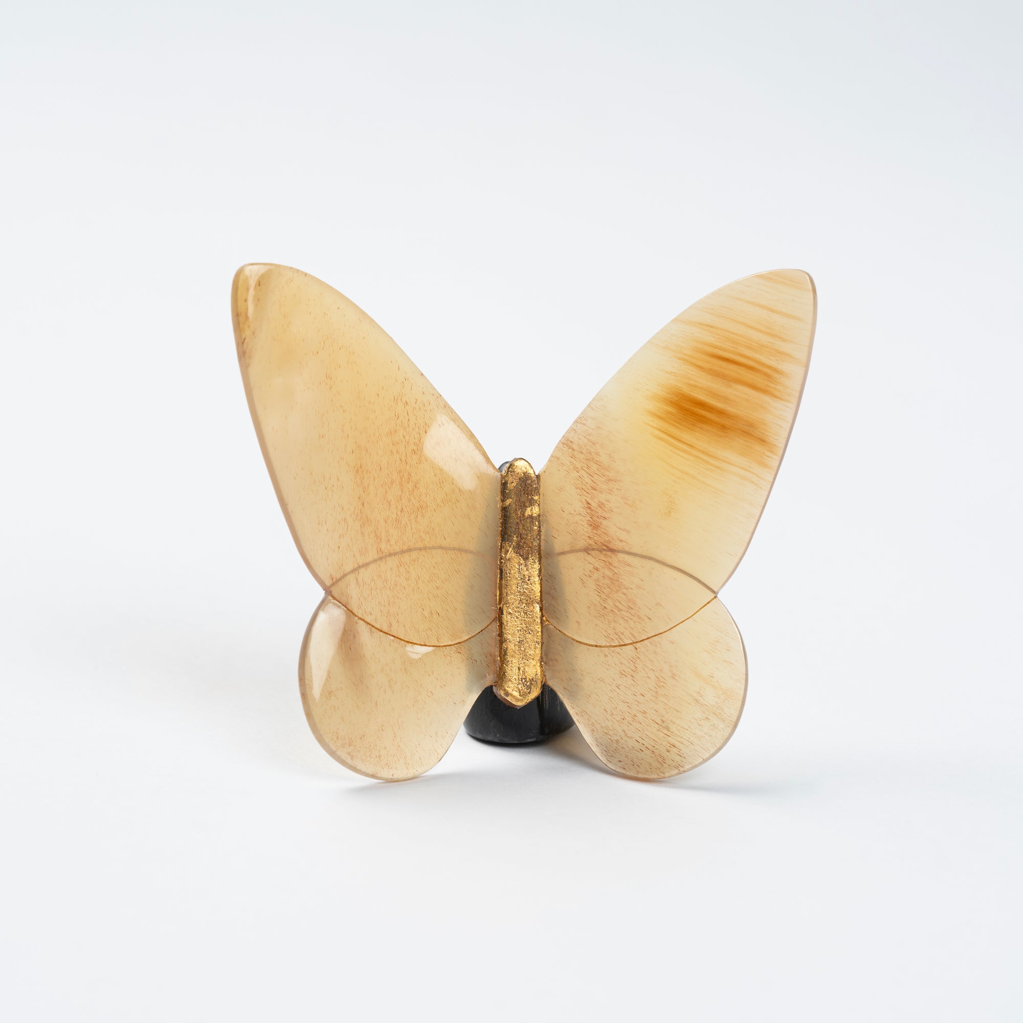 Butterfly Organic Horn