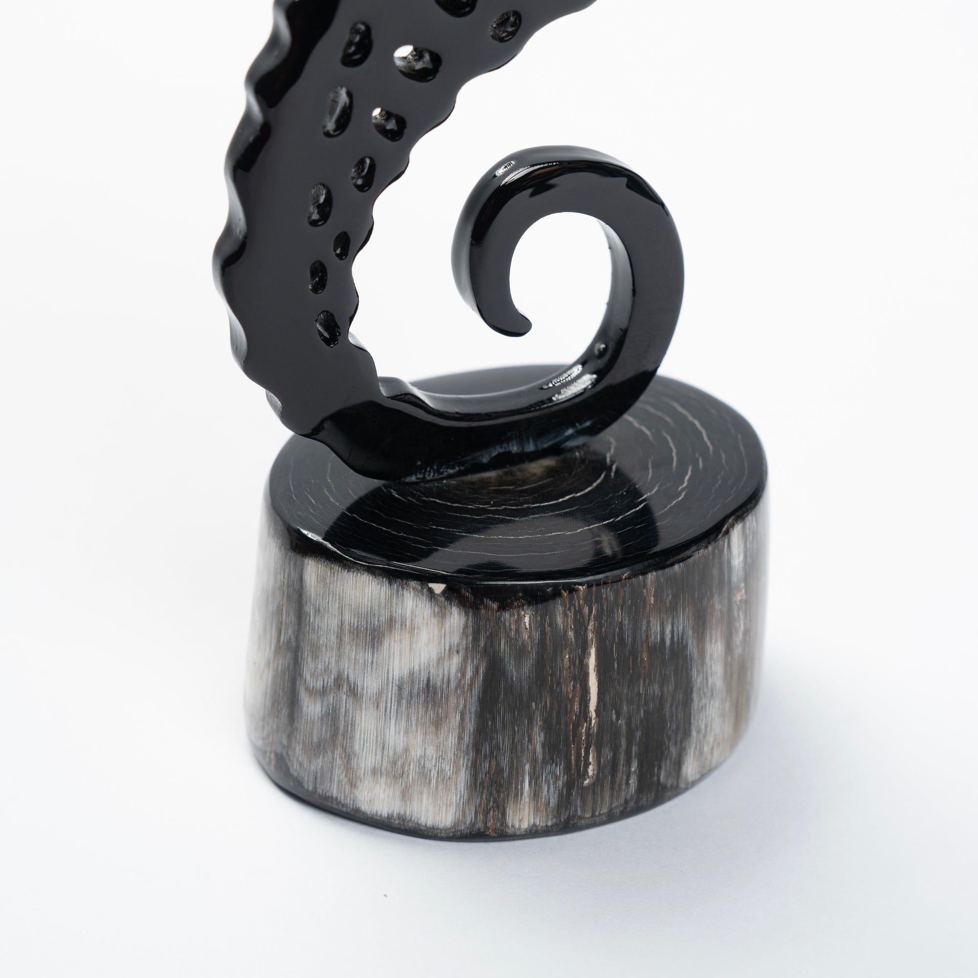 Seahorse Organic Horn Sculpture