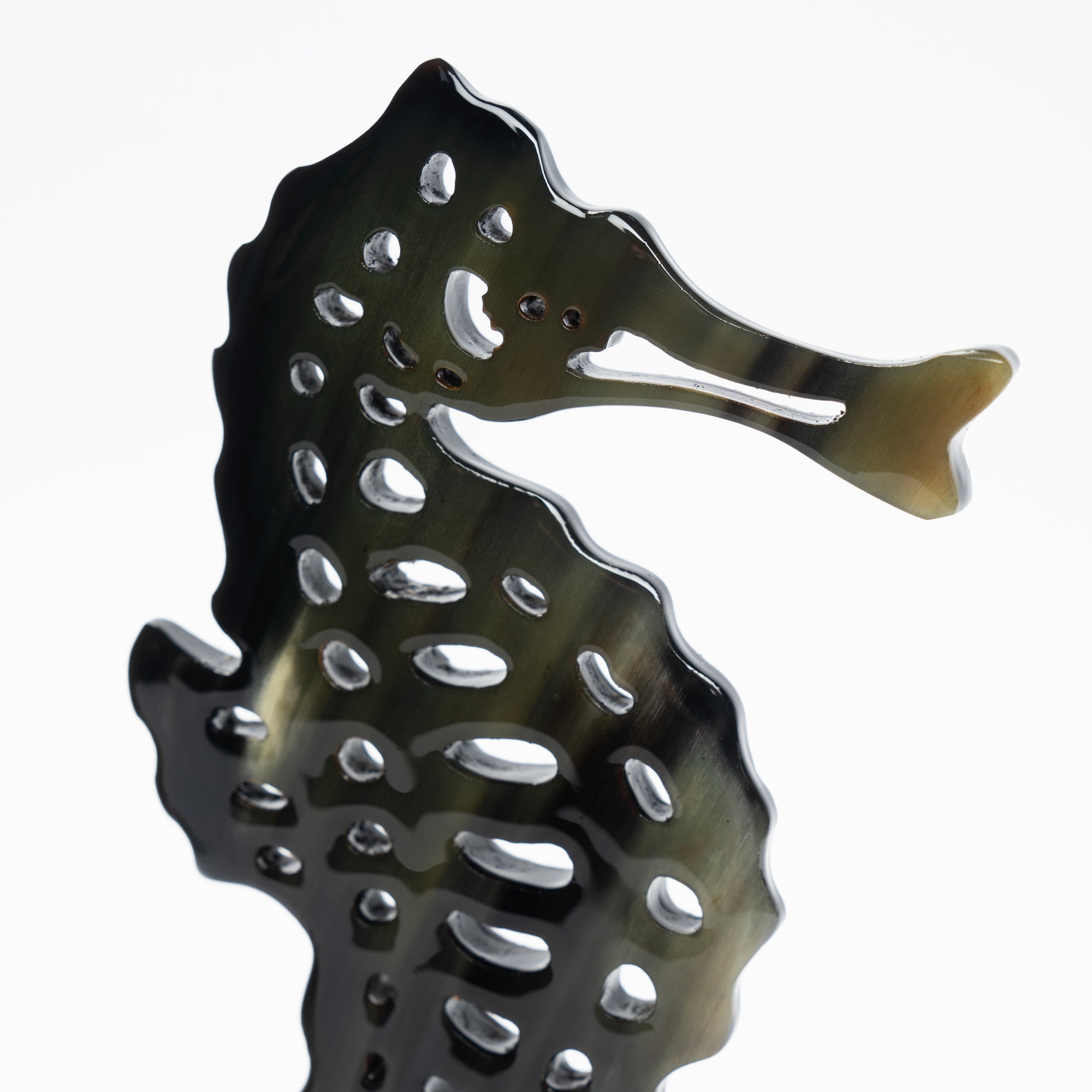 Seahorse Organic Horn Sculpture