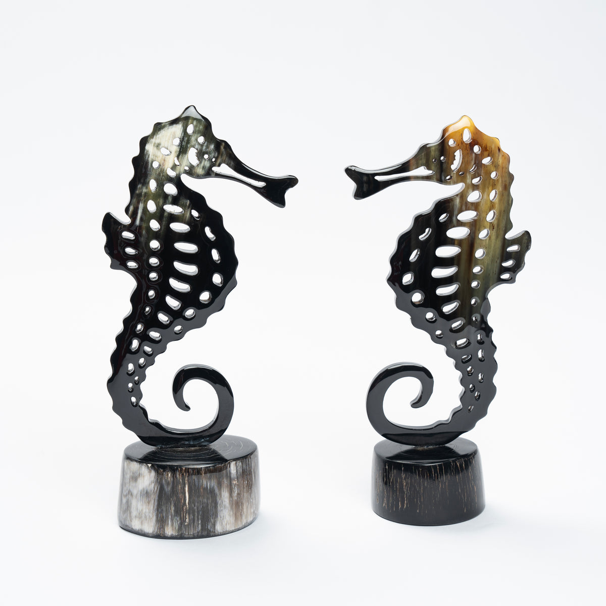 Seahorse Organic Horn Sculpture