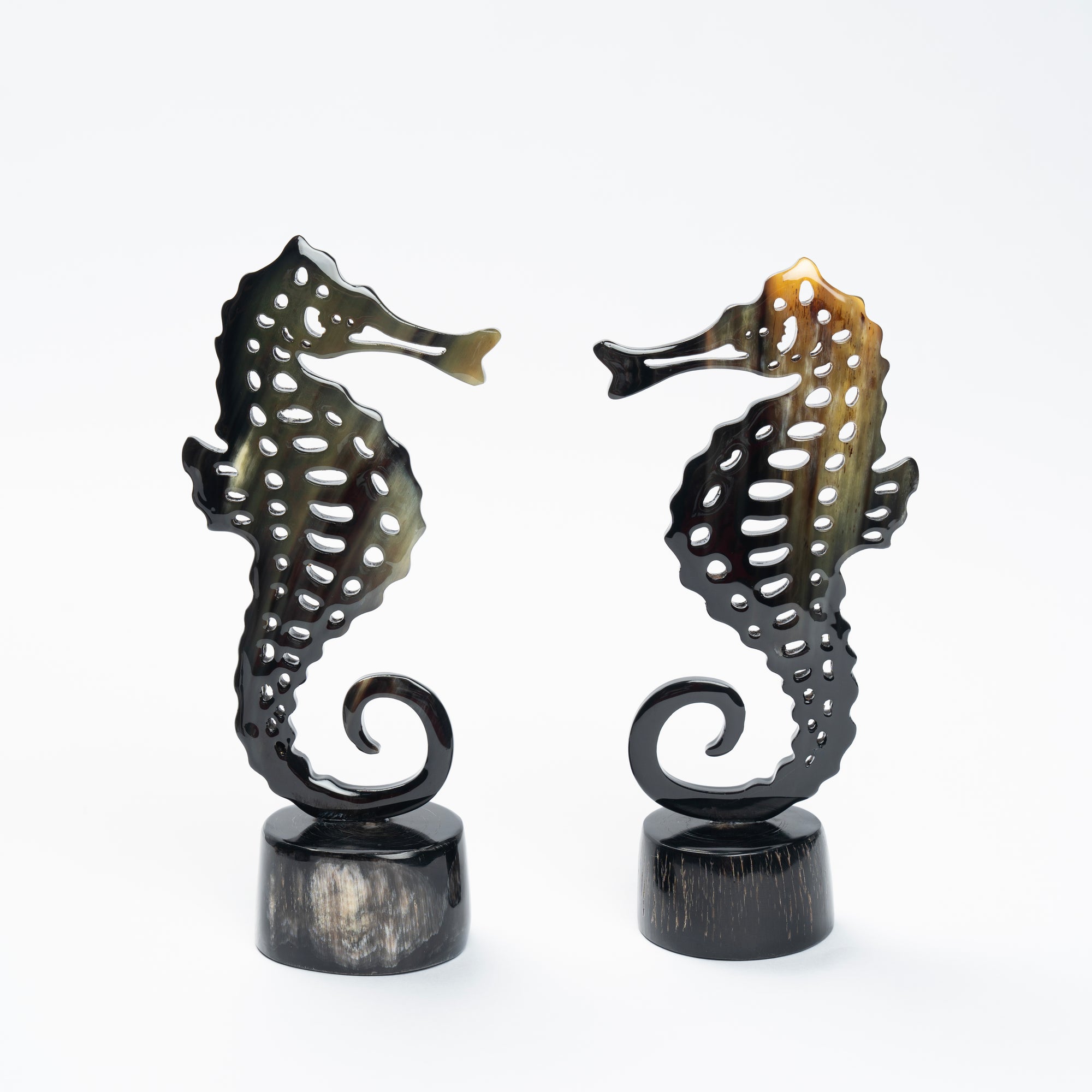 Seahorse Organic Horn Sculpture