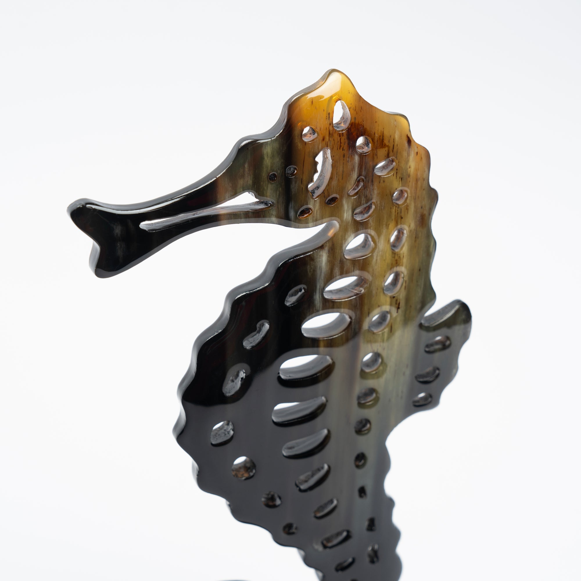 Seahorse Organic Horn Sculpture